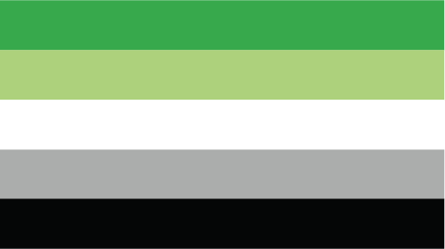 flag aromantic