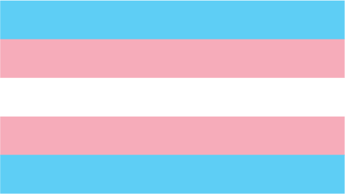flag transgender